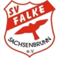 Falke Sachsenbrunn II
