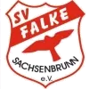 Falke Sachsenbrunn